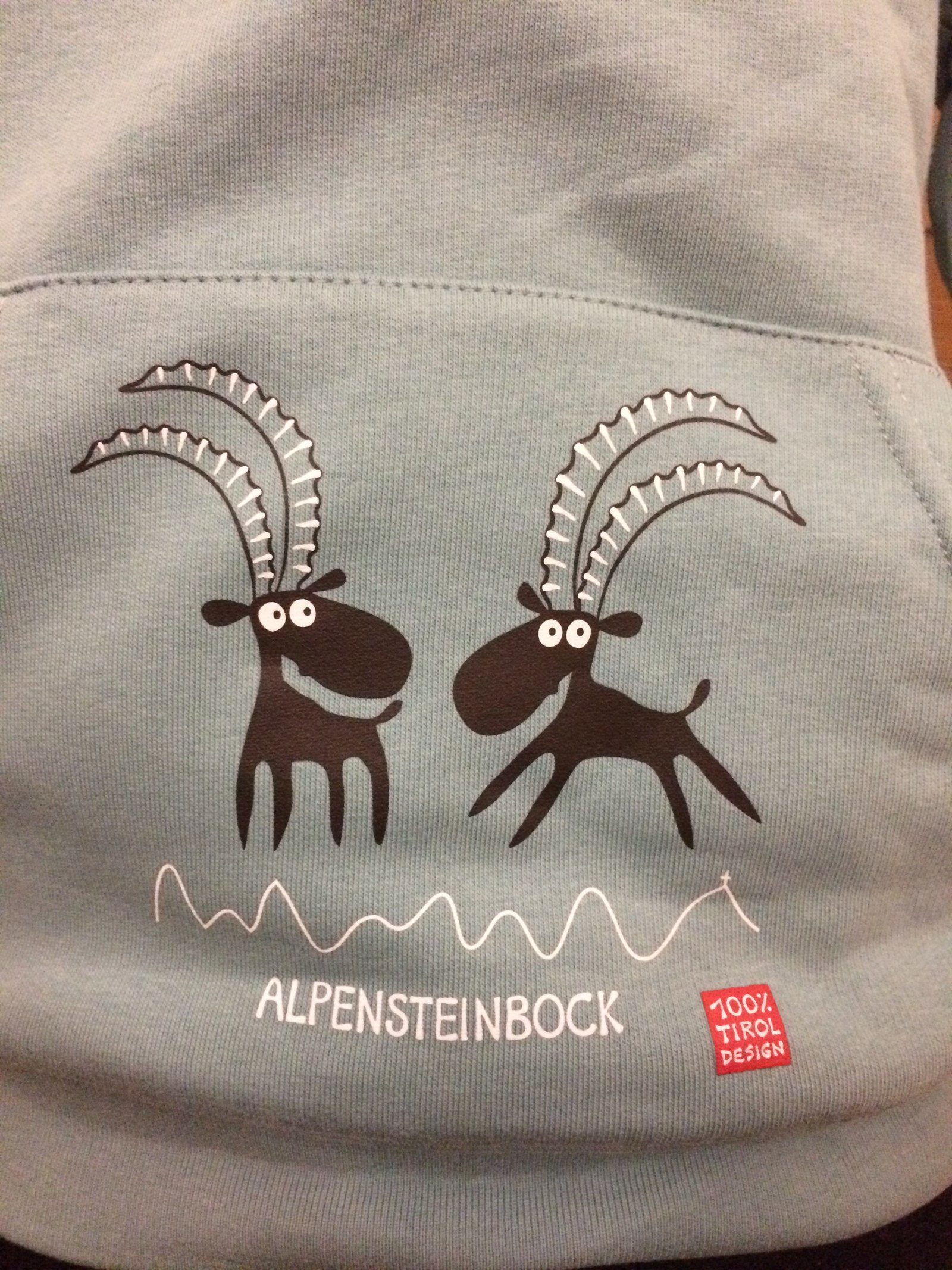 Kinder Hoody "Alpensteinbock"