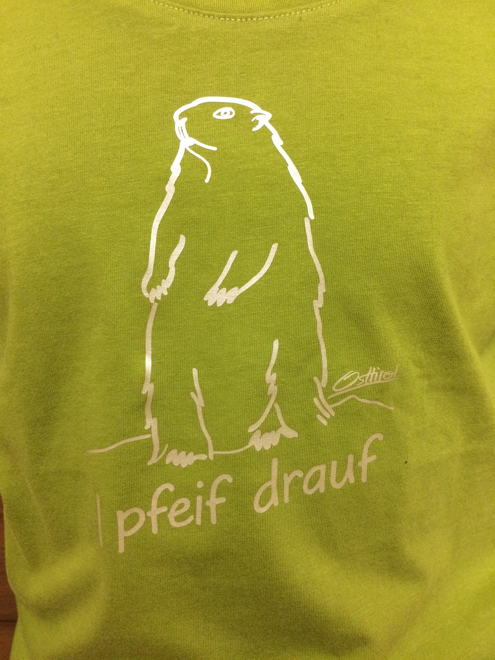 Kinder Longsleeve " i pfeif drauf" zypresse